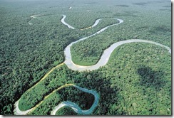 Amazonas