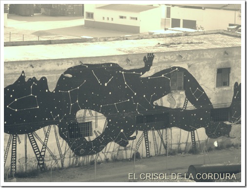 Graffiti archivo Juan Francisco