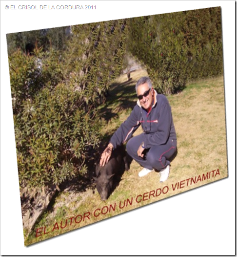 EL CRISOL DE LA CORDURA-CERDO VIETNAMITA