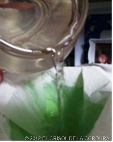 PLATA COLOIDAL-EL CRISOL DE LA CORDURA