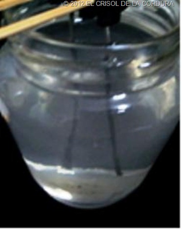 PLATA COLOIDAL-EL CRISOL DE LA CORDURA