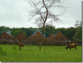 PUEBLO DE LA SAVANA-GUINEA-BISSAU-EL CRISOL DE LA CORDURA